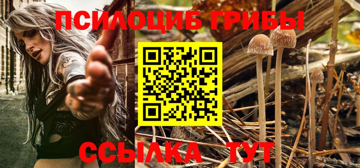 Туймазы  Галлюциногенные грибы мухоморы  Псилоцибиновые грибы Cubensis  Вход с VPN 
